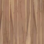 Бук эко [Beech Eco]